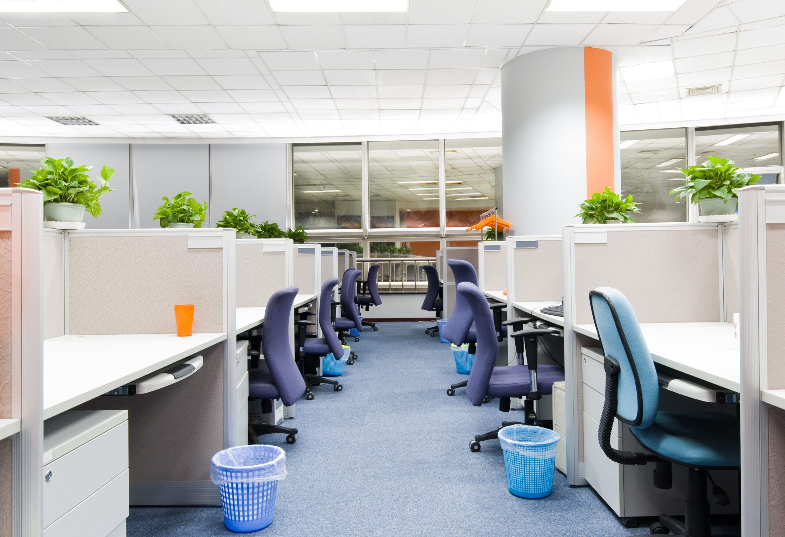Commercial Building Cleaning - Image 1